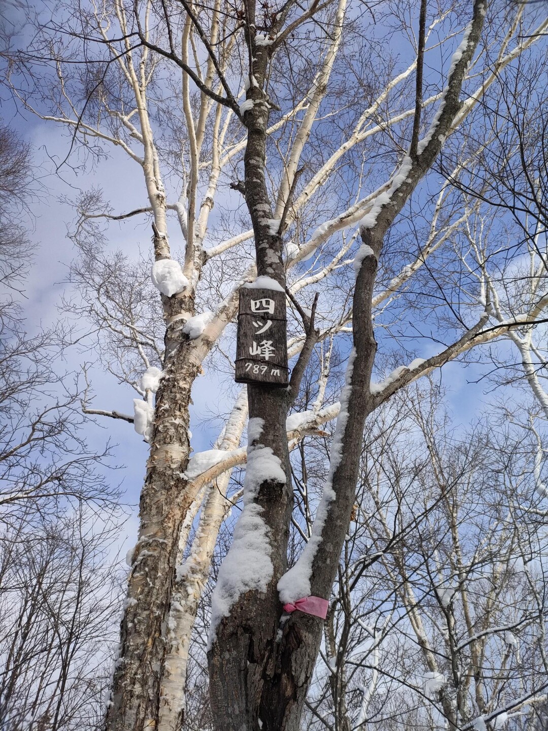 四ッ峰〜札幌50峰 / まなみさんの迷沢山の活動データ YAMAP / ヤマップ