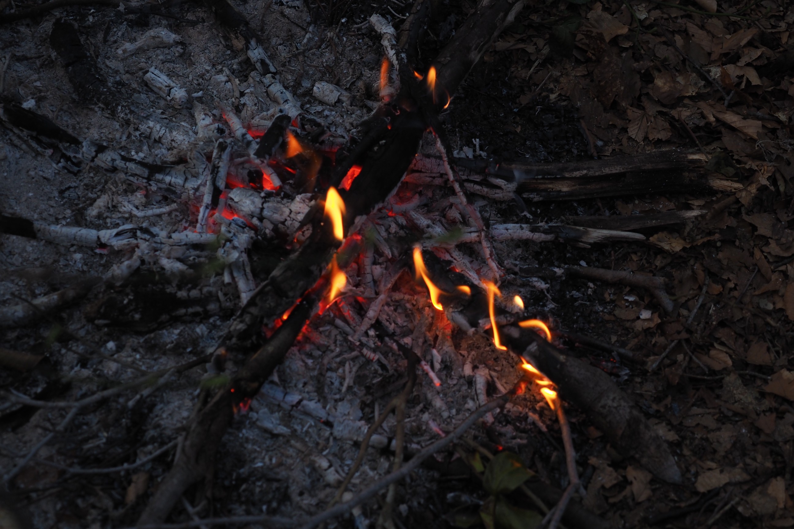 木六山・銀次郎山 消えそう💦