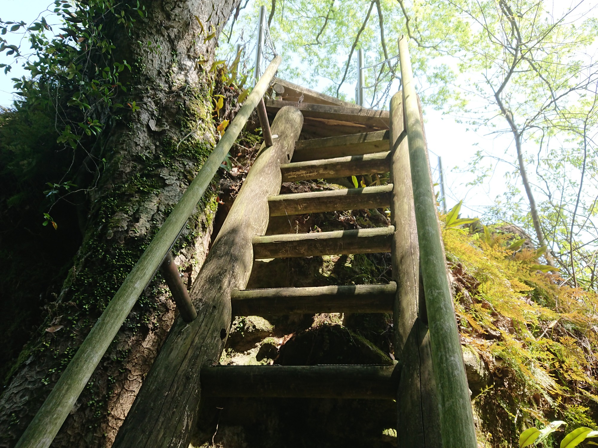 うきは市浮羽町新川 長岩城跡 ななせさんの熊渡山 カラ迫岳 高嶺山 の活動データ Yamap ヤマップ