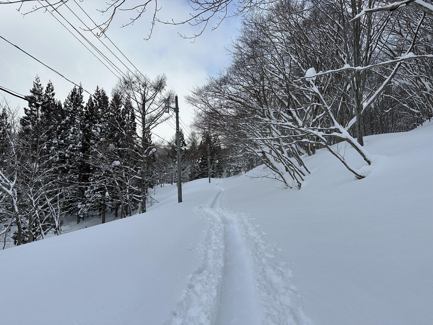 やっちまったなぁ湯殿山 / 月山の写真3枚目 / トレースありました、ありがとうございます YAMAP / ヤマップ