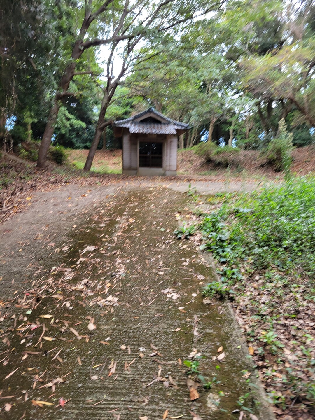 城山 長崎県松浦市鷹島町 / ヤマきんちゃんさんの鷹島の活動データ YAMAP / ヤマップ
