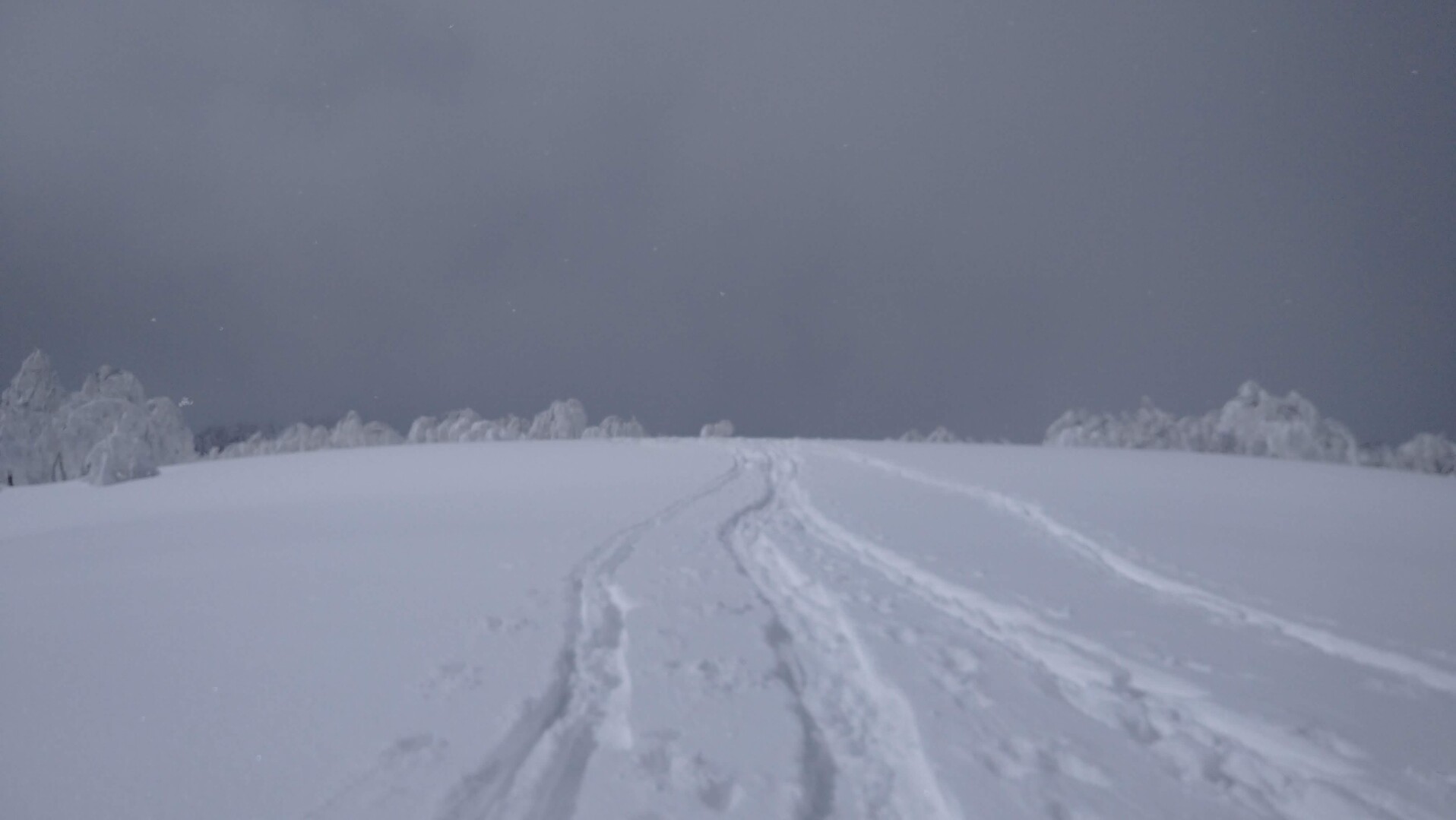 猿ヶ山はフルラッセルだけどラッセル泥棒で、ありがとうございました。 / 江田島平八さんの猿ヶ山・三方山・袴腰山の活動データ YAMAP