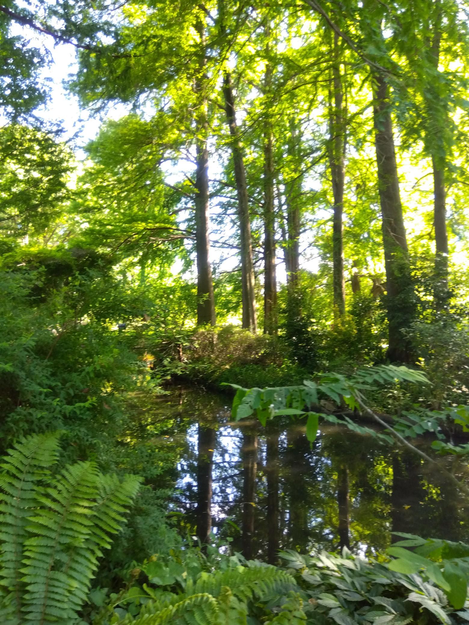 深谷緑の王国20240509 / はむさんの中山道（深谷宿・本庄宿・新町宿）の活動データ YAMAP / ヤマップ