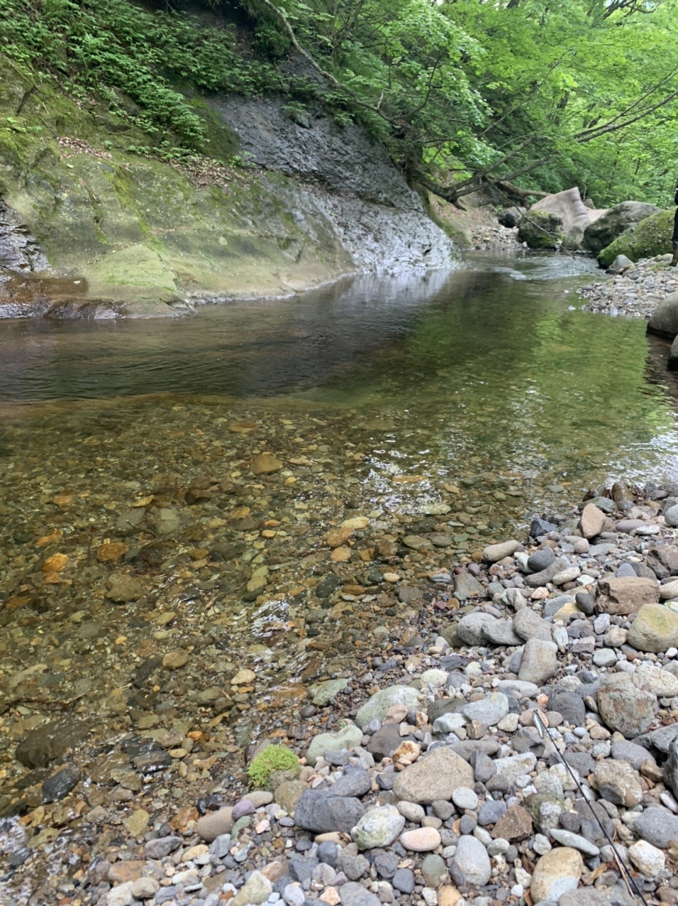 仙台秋保温泉の奥の二口渓谷から渓流釣行 あっちゃんさんのモーメント Yamap ヤマップ