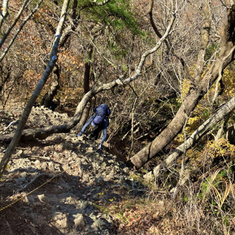 結構てごわいぞ💦