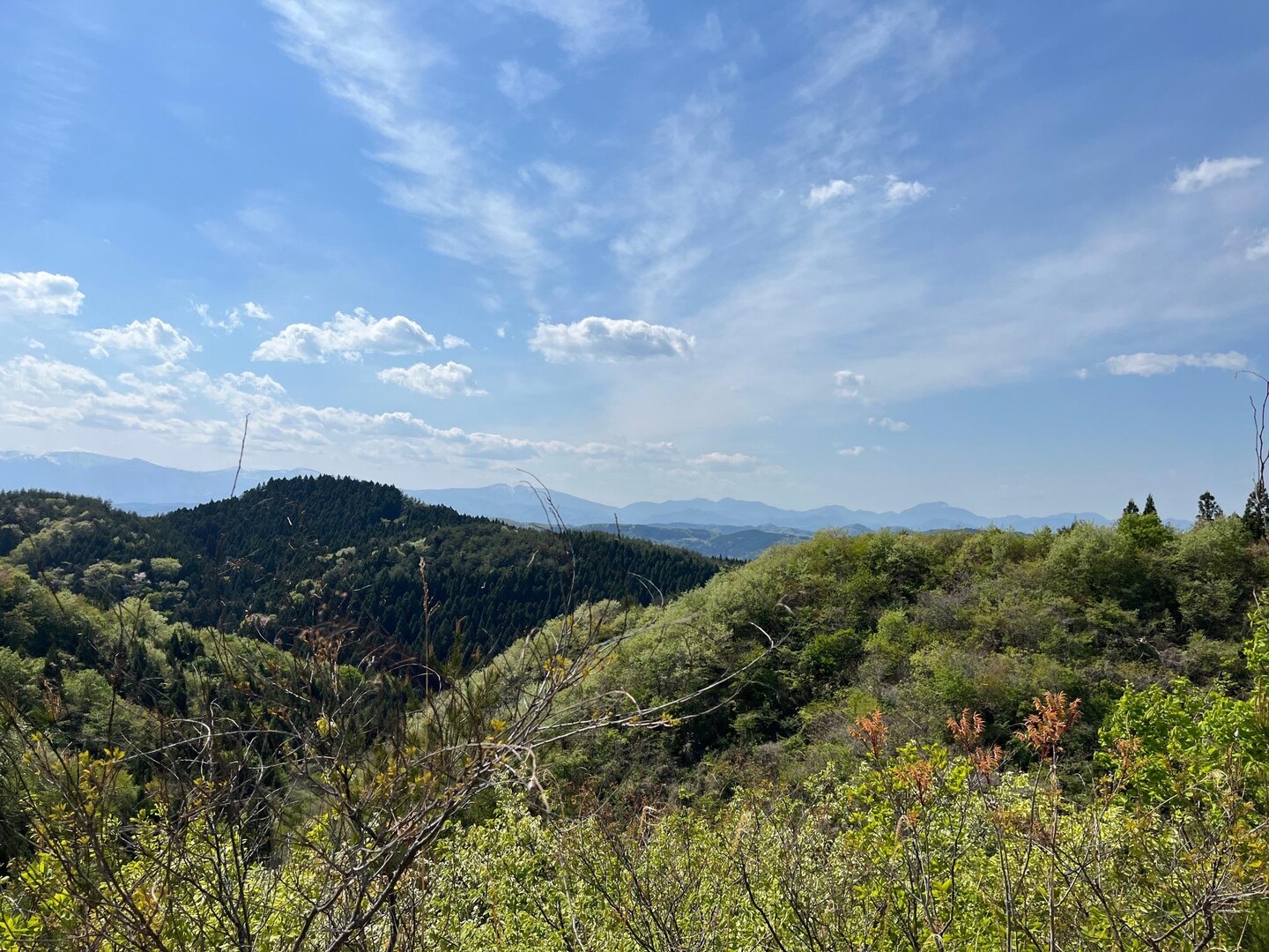 外山・五社山・三方塚 / シローさんの五社山・外山の活動データ | YAMAP / ヤマップ