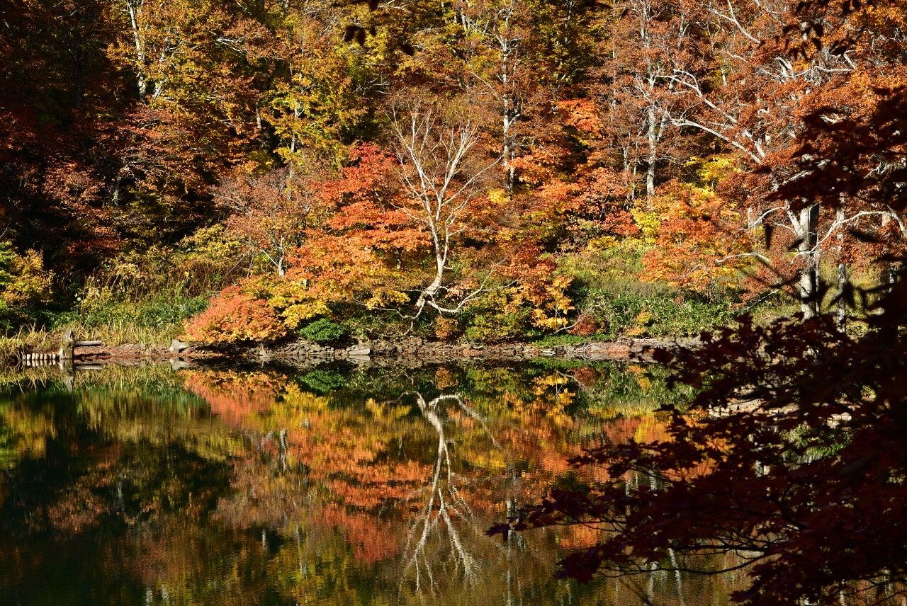 蔵王山 ロープウェイを使わずに紅葉 満喫 けんたなさんの蔵王山 雁戸山 不忘山の活動データ Yamap ヤマップ