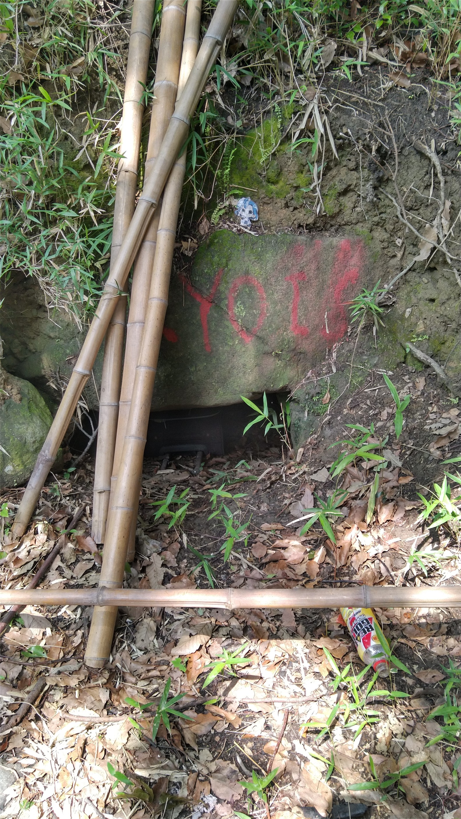 小学生時代の山篭りの地へ オタpさんの生駒山 神津嶽 大原山の活動データ Yamap ヤマップ