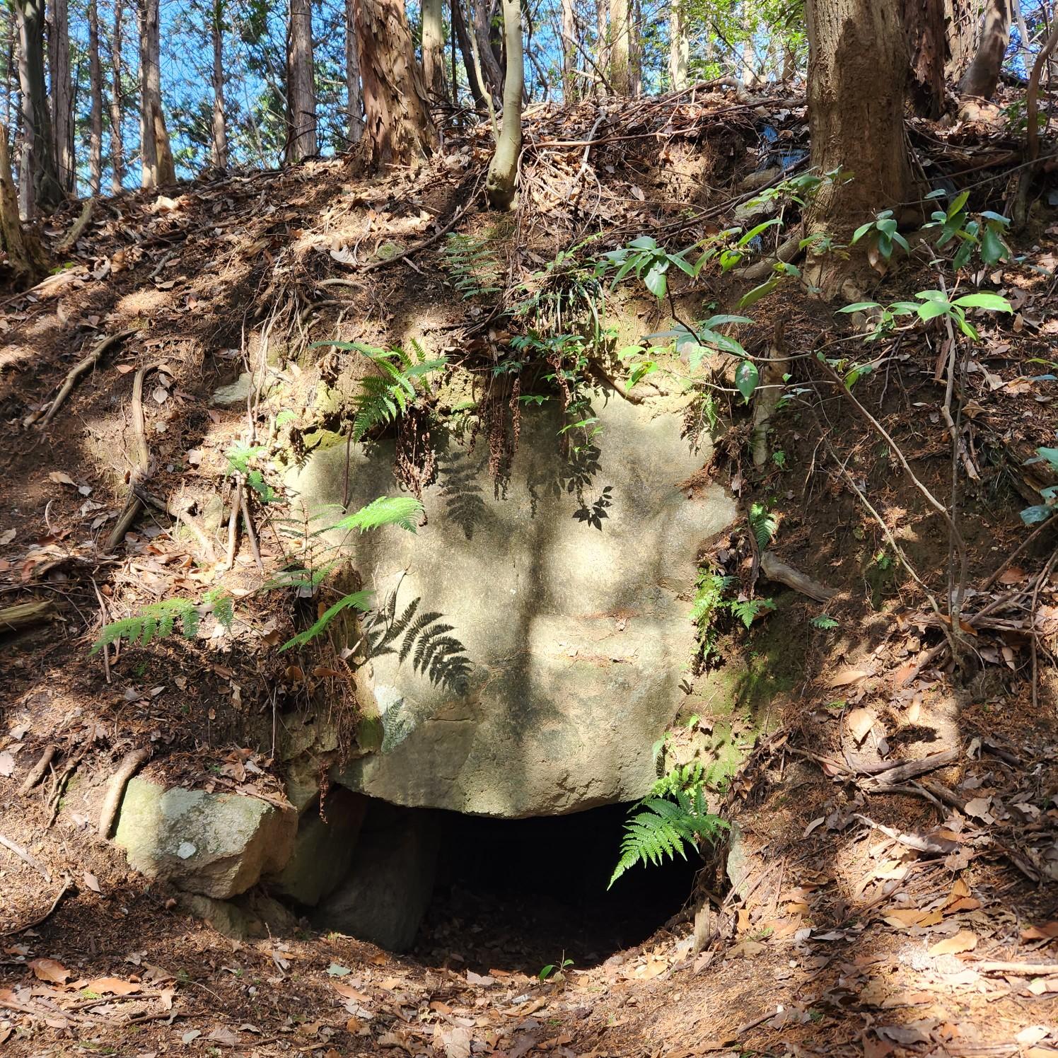 龍王山古墳群』奈良県史跡名勝天然記念物調査報告第68冊