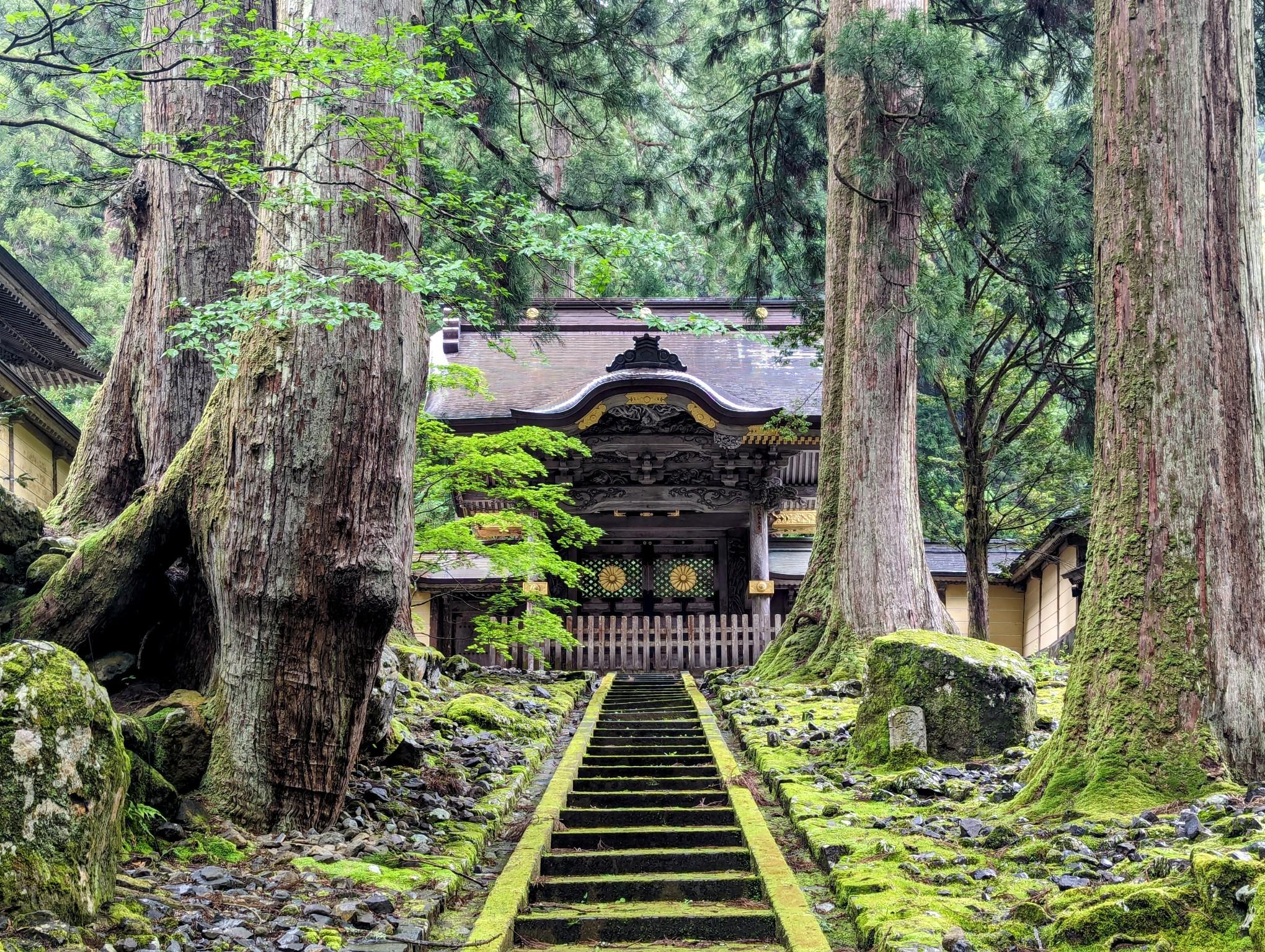 曹洞宗総本山「永平寺」参拝🙏 / しのぴーさんの取立山の活動データ