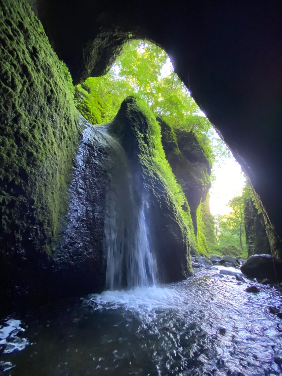 たきあそび 桂の滝 シワガラの滝 08 16 かめきちさんの扇ノ山の活動データ Yamap ヤマップ