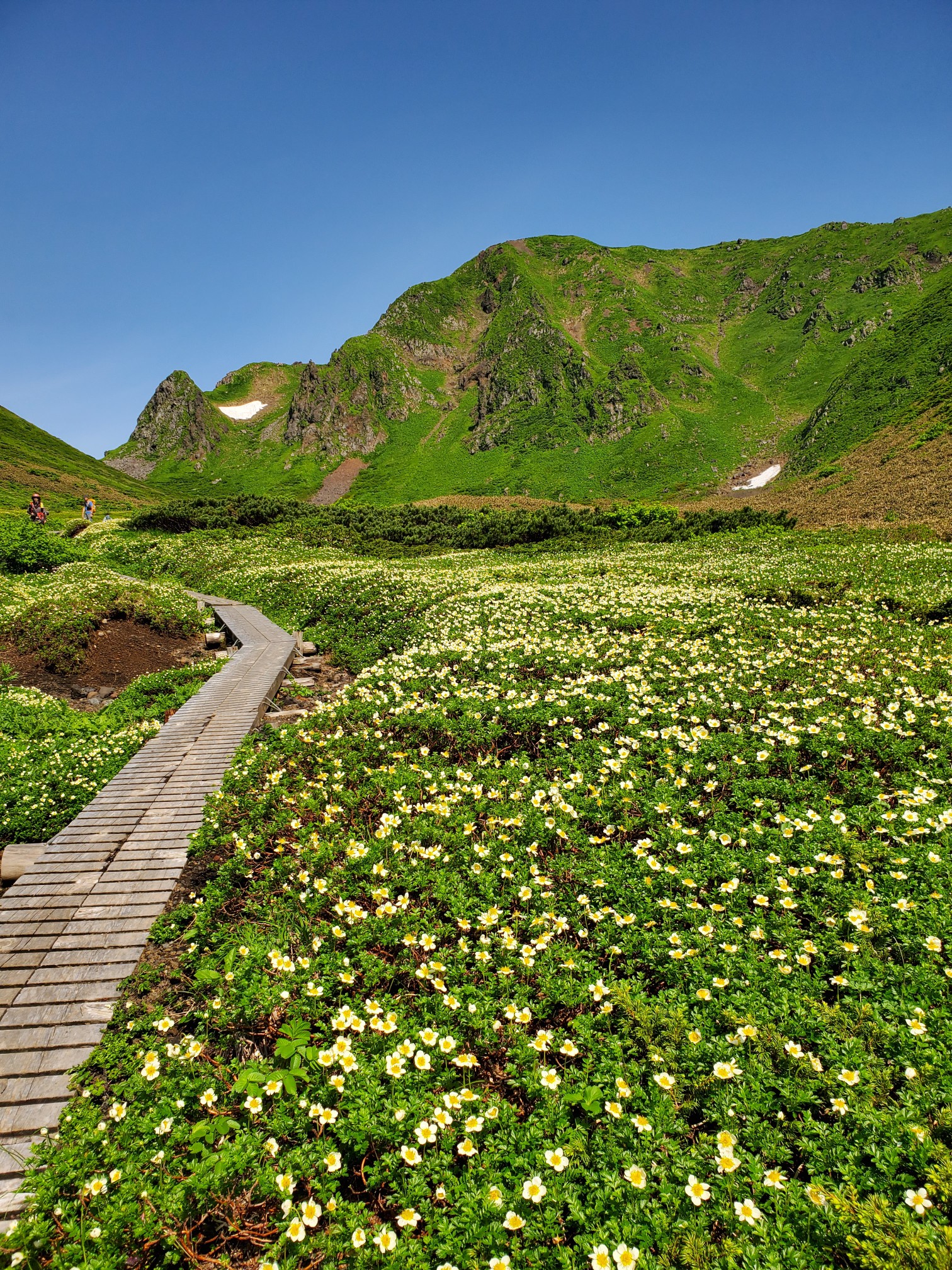 秋田駒ケ岳 国見 ムーミン谷 五百羅漢 男岳 男女岳 横岳 Tomjiさんの秋田駒ヶ岳 男女岳 貝吹岳の活動データ Yamap ヤマップ