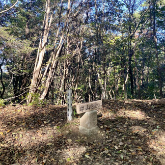 こちらが中山の山頂です。山頂標識が三角点の上に乗せてありました。前に来た時は木に括り付けてありましたが、落下したのかな。