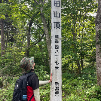 ヤマリカ