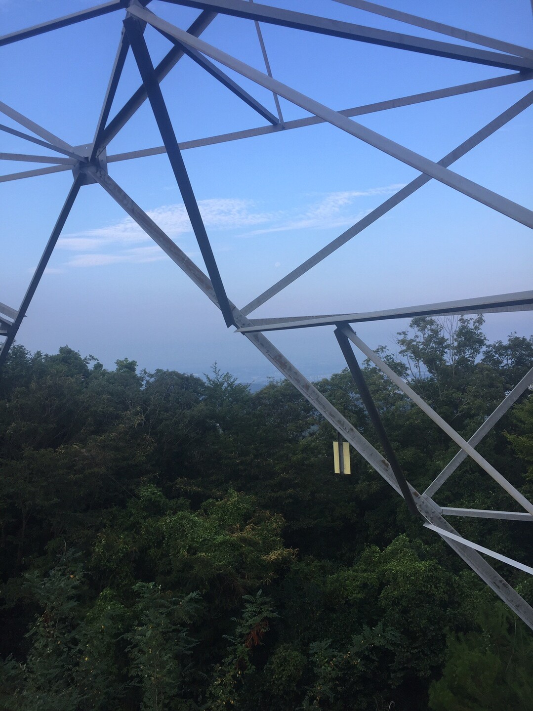 猿投山 物見山 19 08 18 カミカズさんの猿投山 物見山の活動データ Yamap ヤマップ