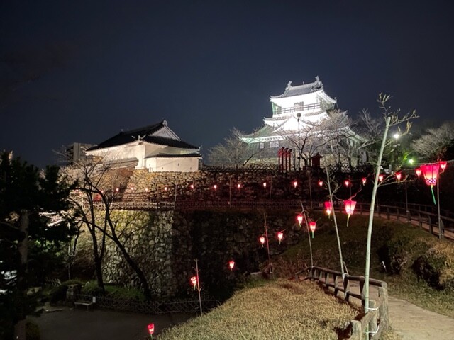 浜松城公園の夜桜です 満開の桜で Darin16さんのモーメント Yamap ヤマップ