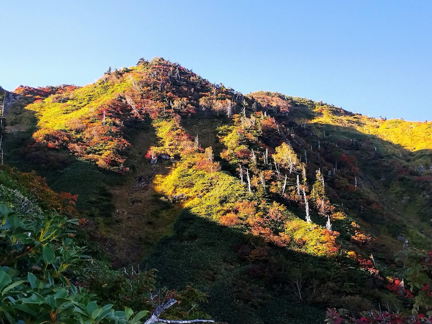 荒沢岳 銀山平から往復 / そらをさんの越後駒ヶ岳・八海山・荒沢岳の活動データ YAMAP / ヤマップ