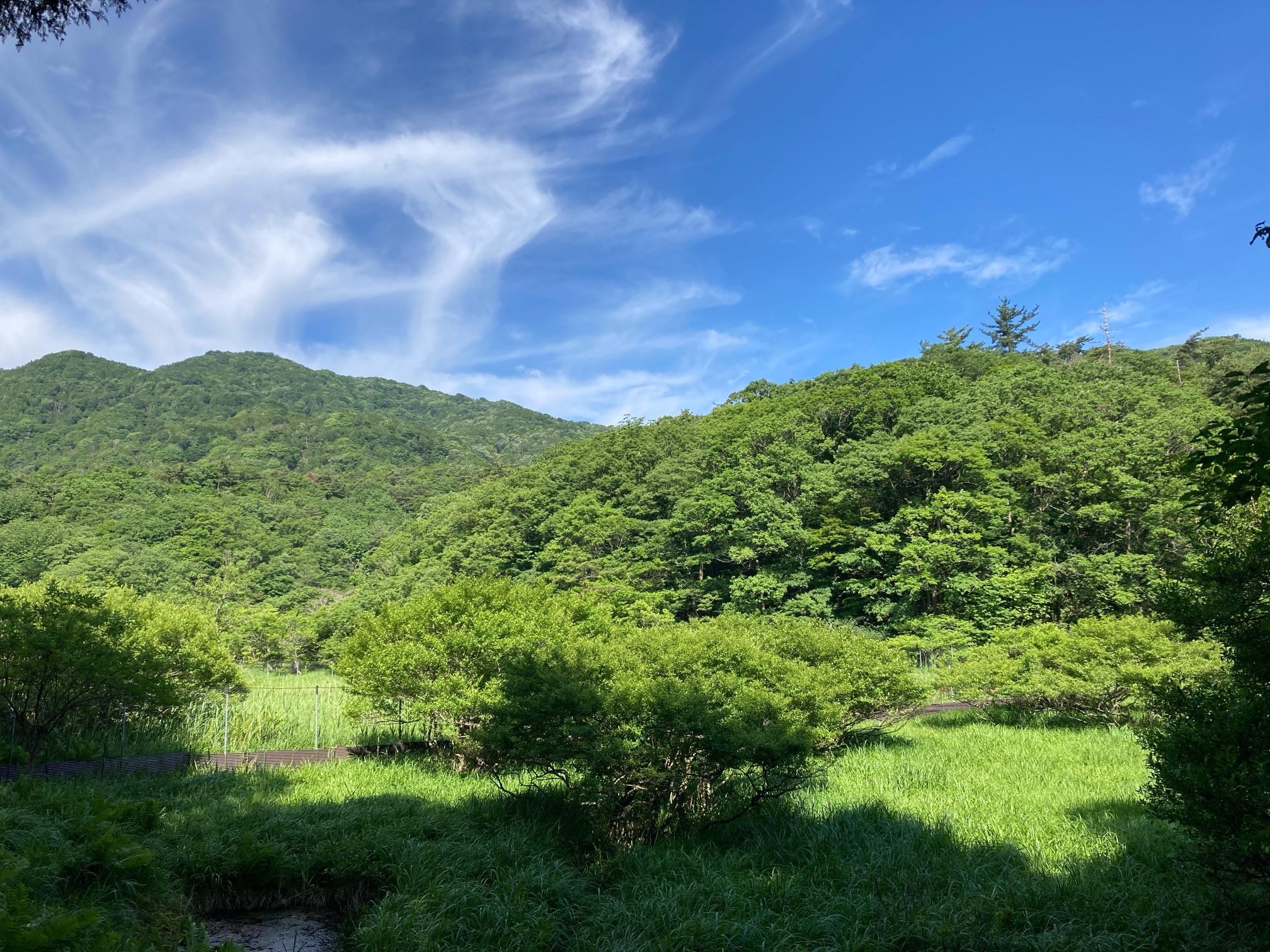 奥びわ湖山門水源の森・東ヶ谷山（総見山）・小アケビ岳 / ゆやまさんの東ヶ谷山・山門水源の森の活動データ | YAMAP / ヤマップ