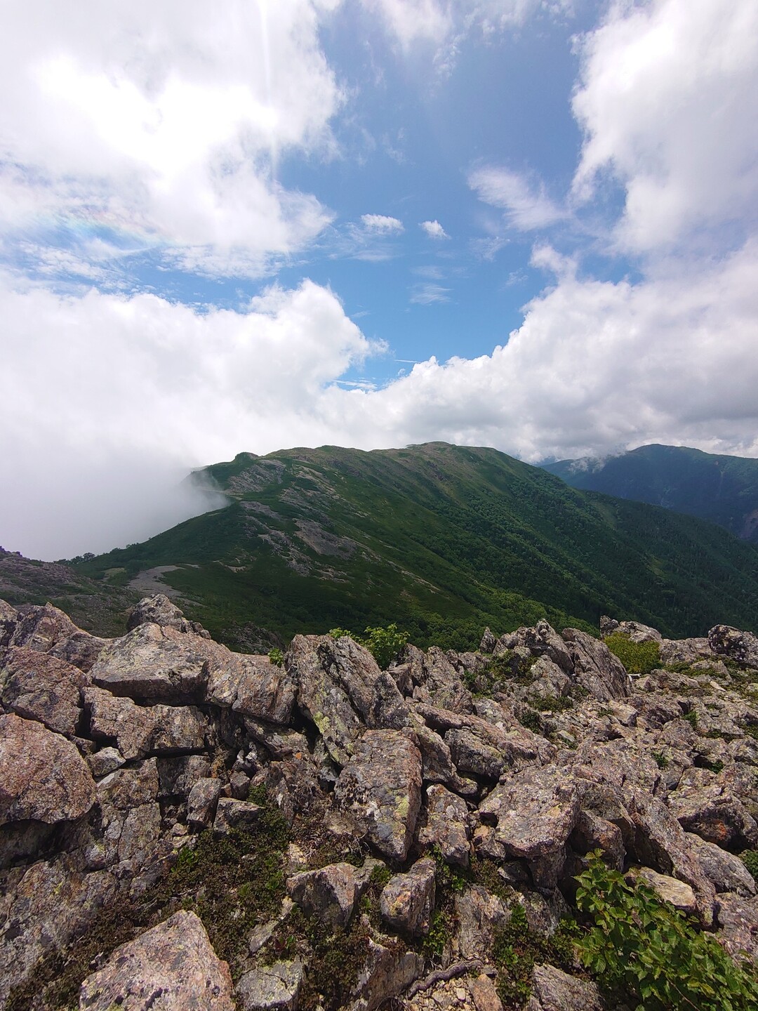 笹山と（黒・白・広）河内岳へ / ホッとコーヒーさんの黒河内岳（笹山）・白河内岳・白剥山の活動データ YAMAP / ヤマップ