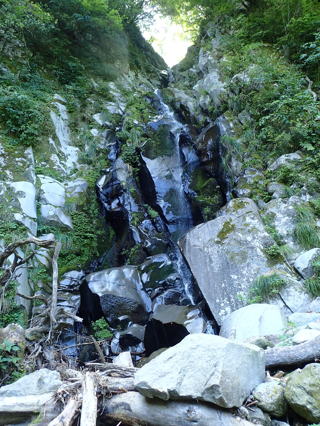 伯耆大山 (川床・阿弥陀滝・下宝珠越) 2020-8-23 ㉒