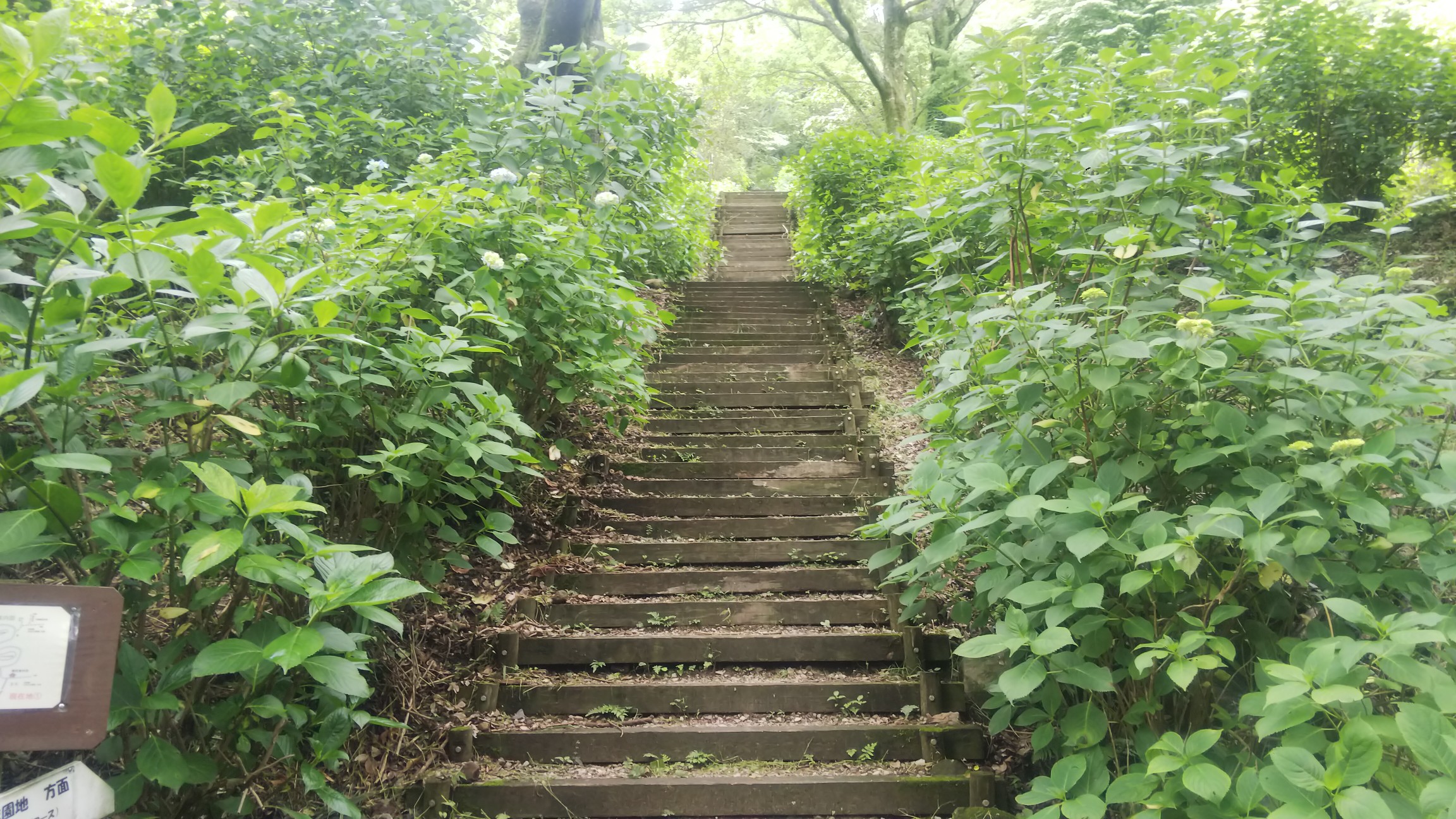あじさい園へ 生駒山なんちゃって縦走 Bonboさんの生駒山 神津嶽 大原山の活動データ Yamap ヤマップ