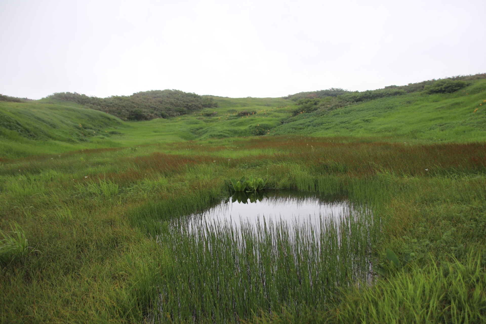 月山 がっさーん 立て ジョー 遊びでねぇんだ 08 13 Goofyさんの月山の活動データ Yamap ヤマップ