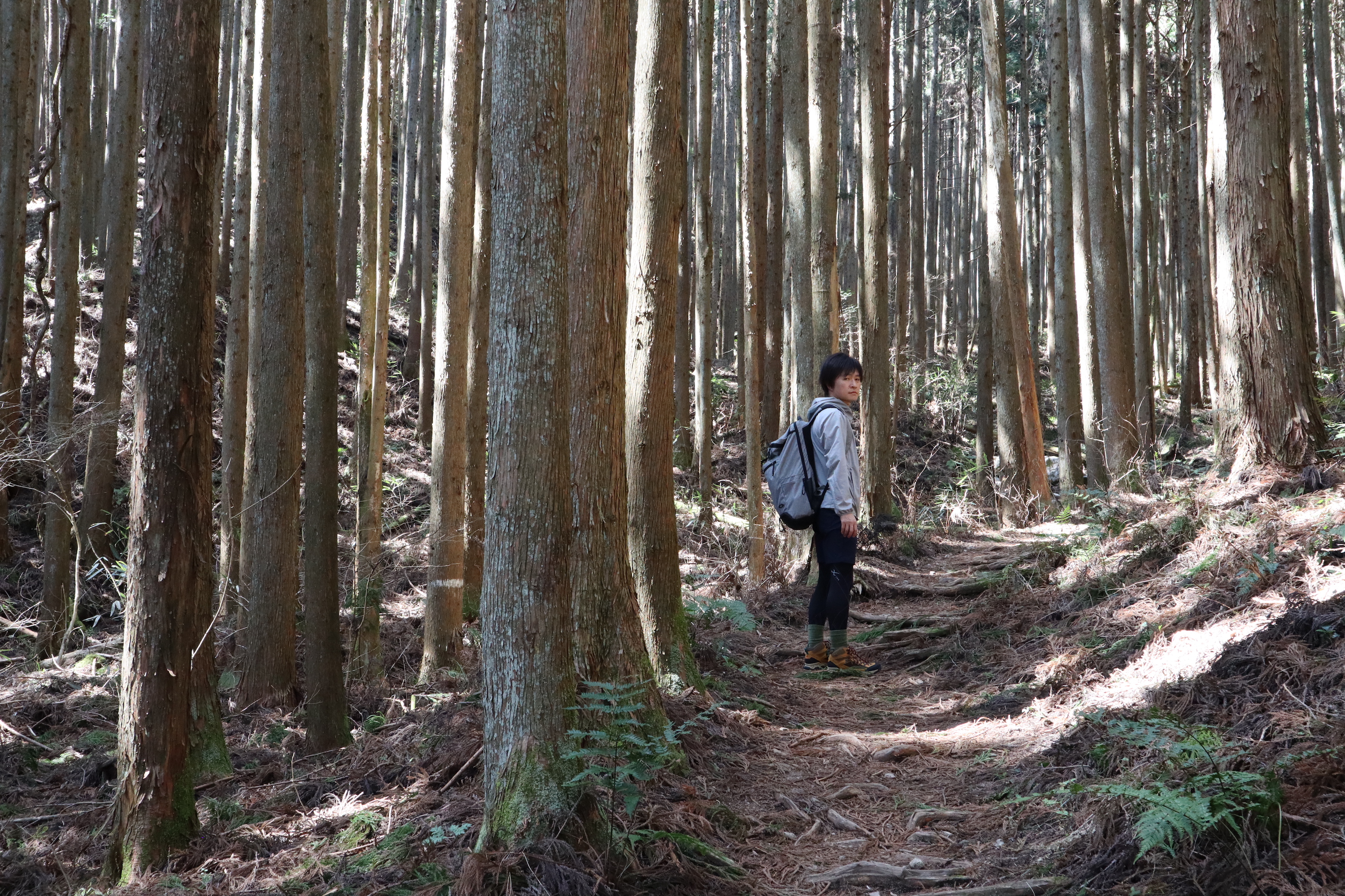 花貫渓谷ハイキング 03 21 きょういちさんの土岳 花貫渓谷 竪破山の活動データ Yamap ヤマップ