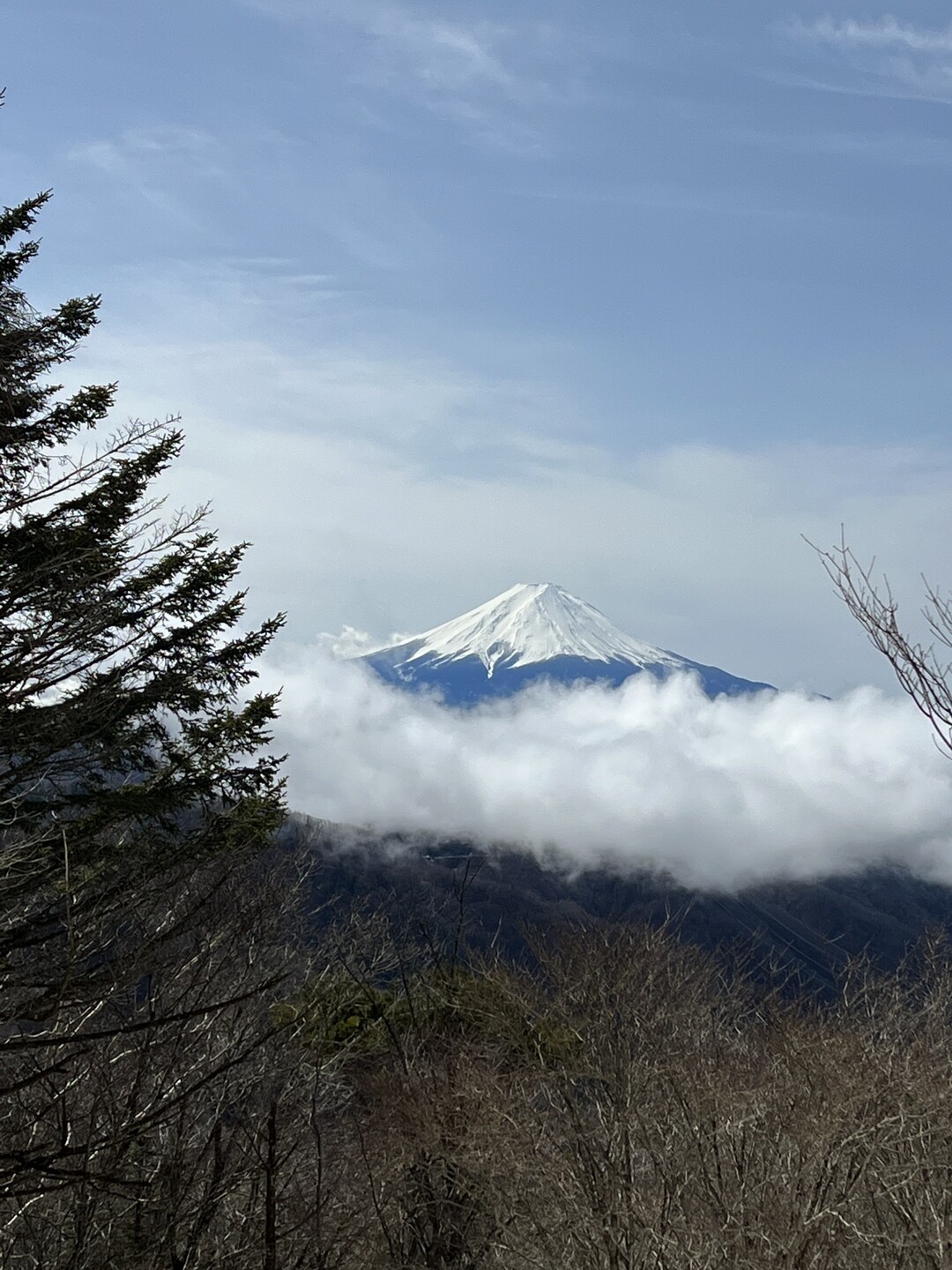 大菩薩嶺 / デグチさんの大菩薩嶺・鶏冠山・大マテイ山の活動データ YAMAP / ヤマップ