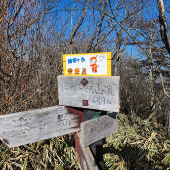 ハイ掃部ヶ岳！

途中、トナちゃんにお声掛けくださった方々ありがとうです。

ピカチュウ？と思った方、トナカイですかるぁぁぁ！！！www

そして今日は、ここから居鞍岳に行ってみりゅぅぅ