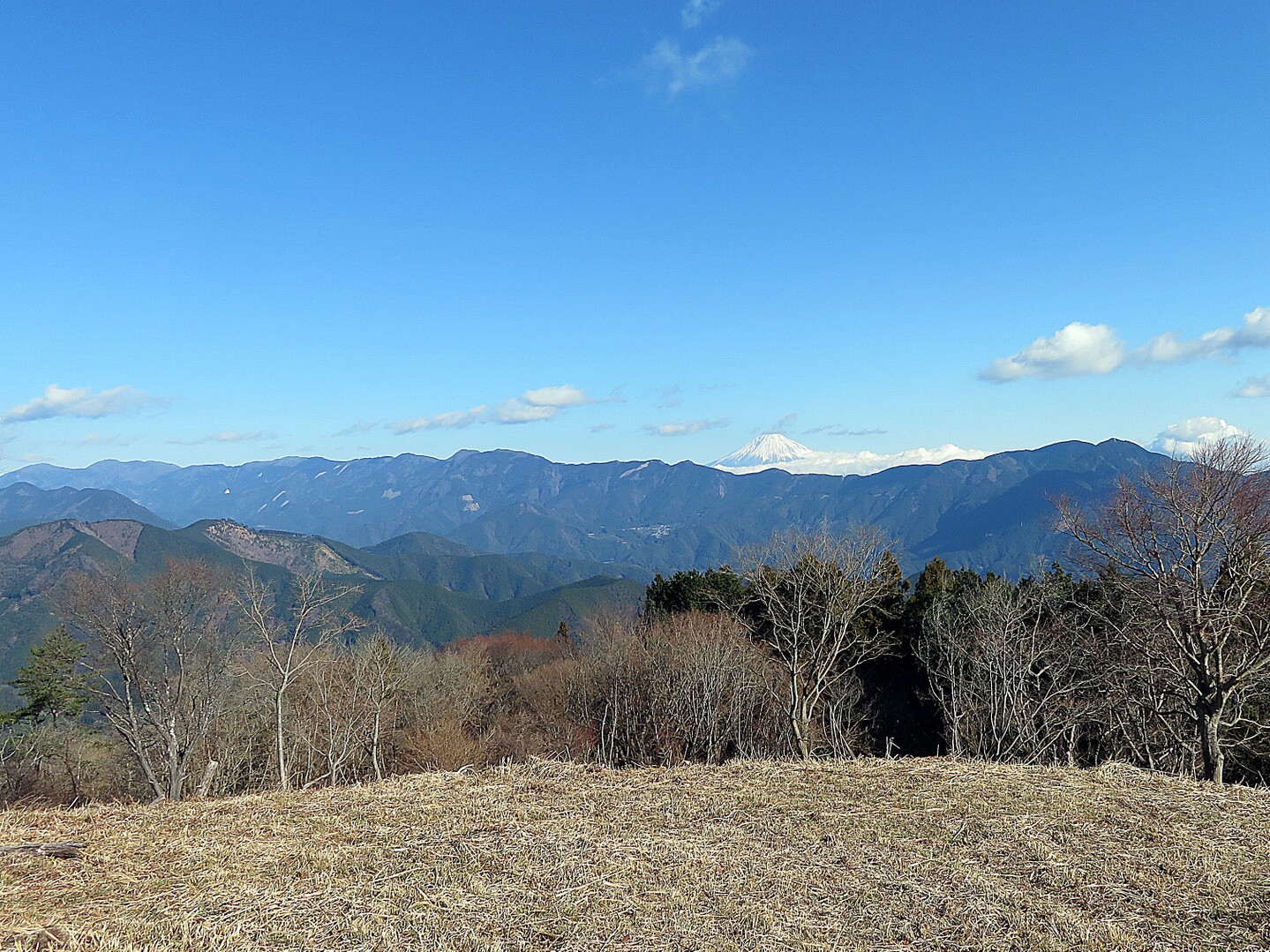 高山 牛ヶ峰 2020 01 04 仁べえさんの突先山 高山 牛ヶ峰 大棚山の活動日記 Yamap ヤマップ