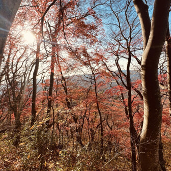 コーヒーとバウムクーヘン頂きながらゆっくり