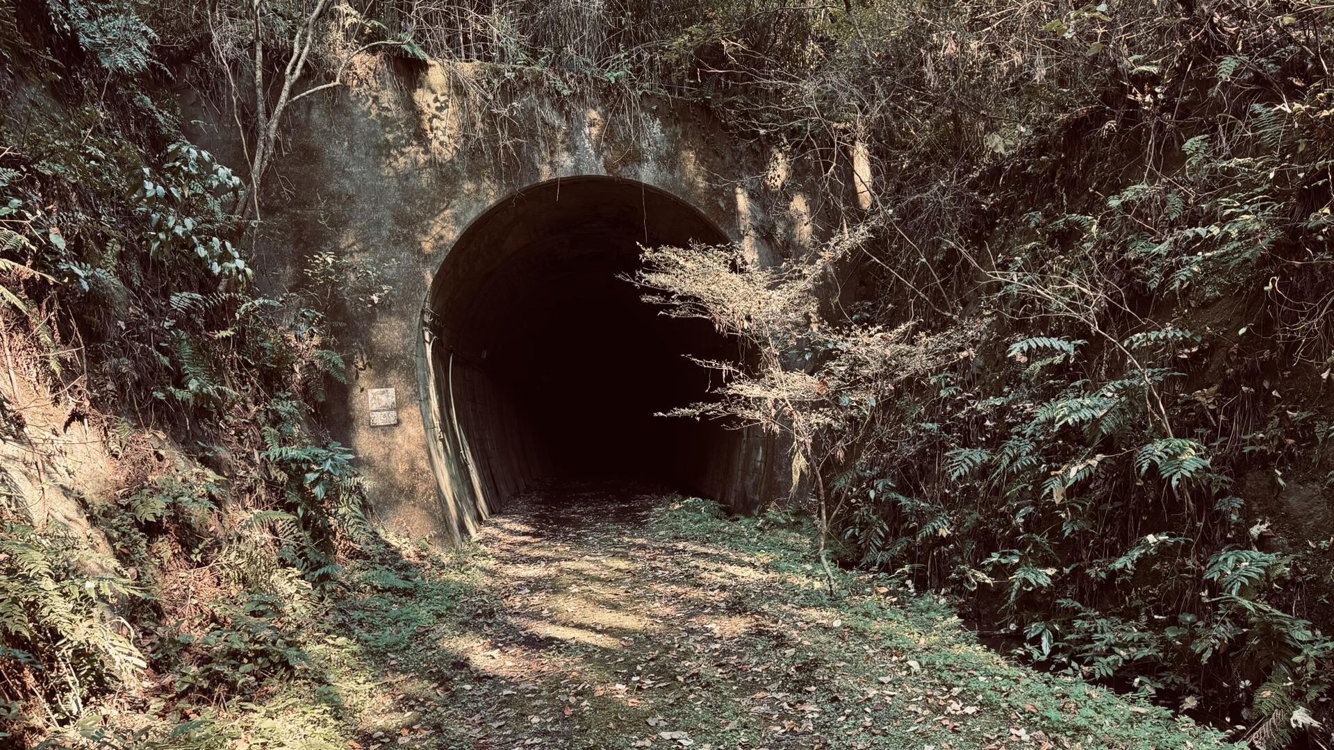熊本遠征⑤旧国鉄宮原線廃線跡 / みやびさんのウォーキングの活動データ | YAMAP / ヤマップ