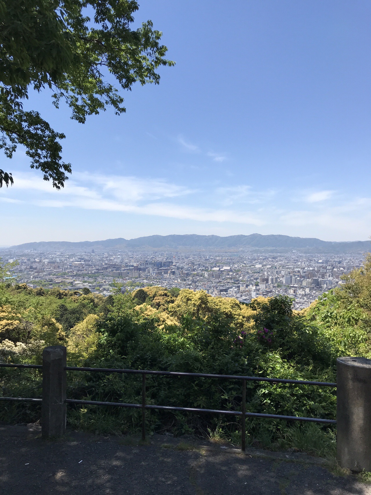 八坂神社から東山山頂へ トラトラトラさんの京都市の活動データ Yamap ヤマップ