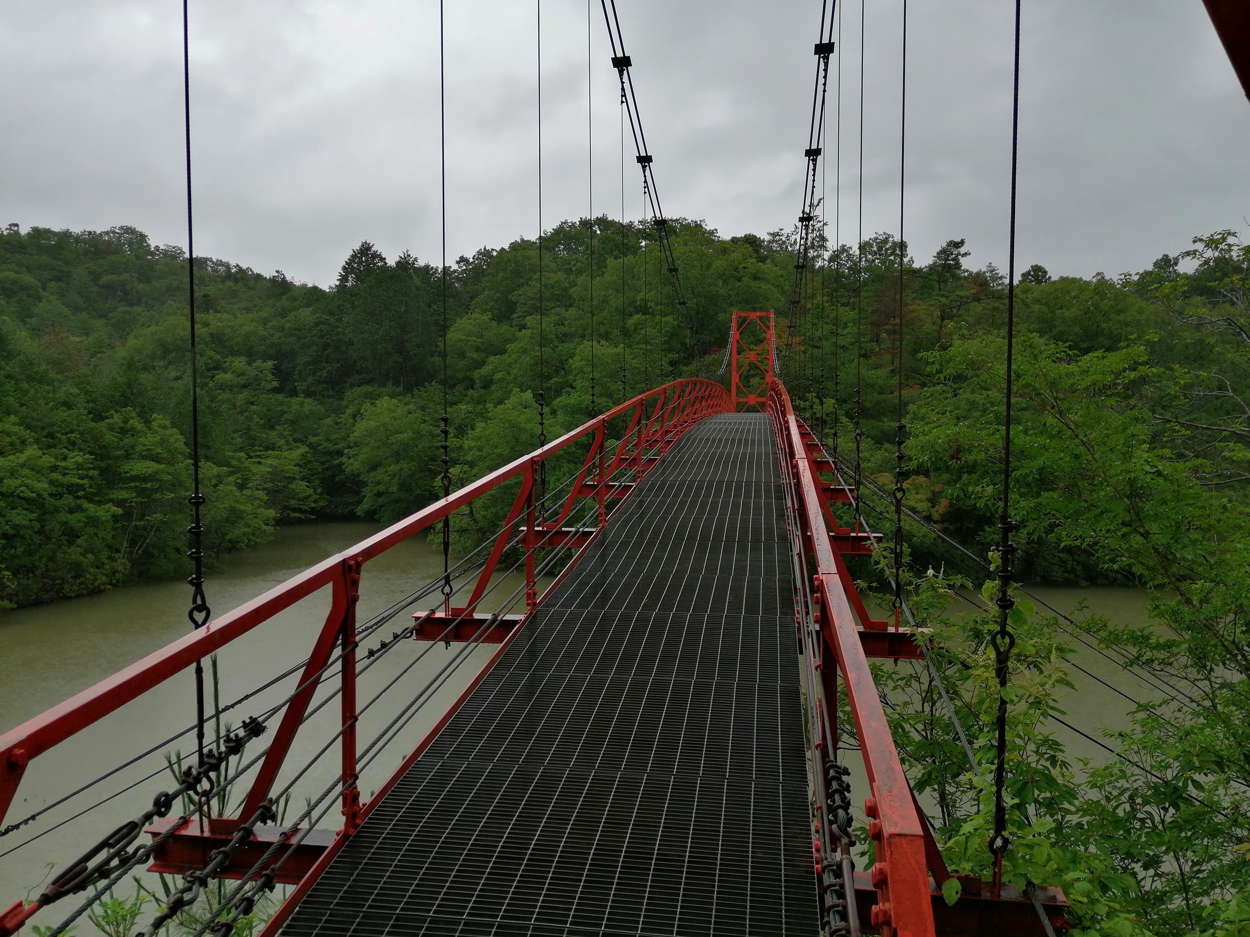 07 04 杉村公園 丸尾橋 Pepeさんの岩湧山 一徳防山 三石山の活動データ Yamap ヤマップ