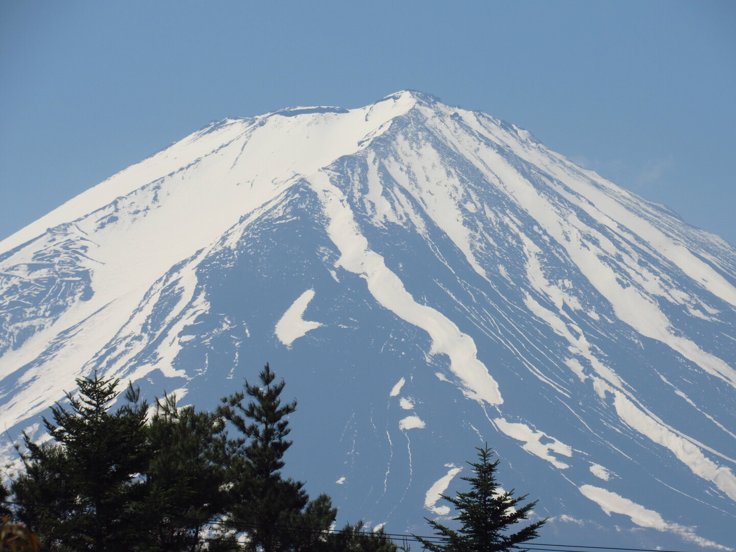 ついに完歩 富士山すそ野ぐるり一周ウォーク 第17回最終回 八木崎公園 北口本宮冨士浅間神社 Peifanさんのutmf18 その4の活動データ Yamap ヤマップ
