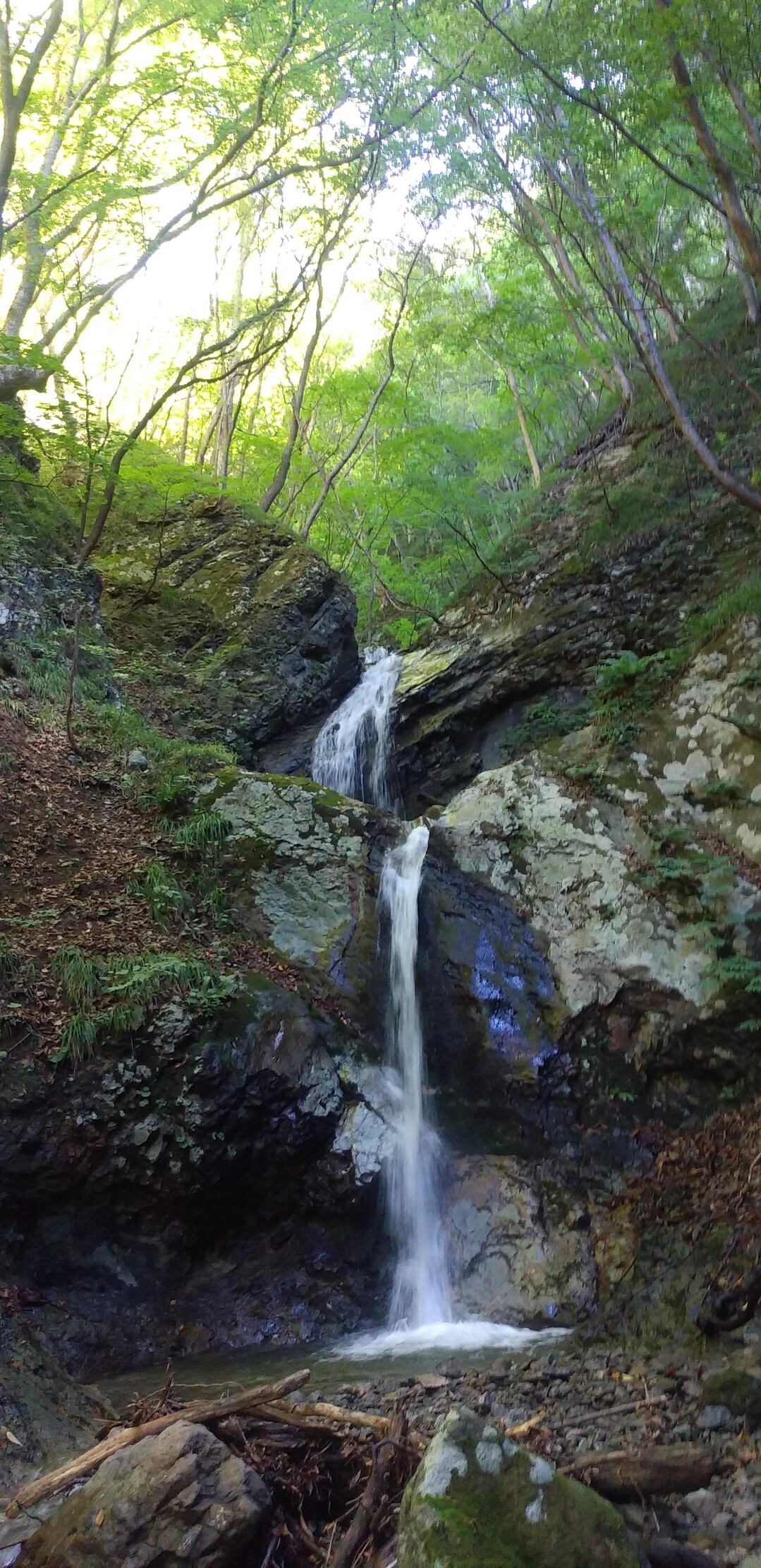鹿角街道 殿様街道 八幡平湯瀬渓谷刈り払い / じゅんさんの五の宮岳・皮投岳の活動データ YAMAP / ヤマップ