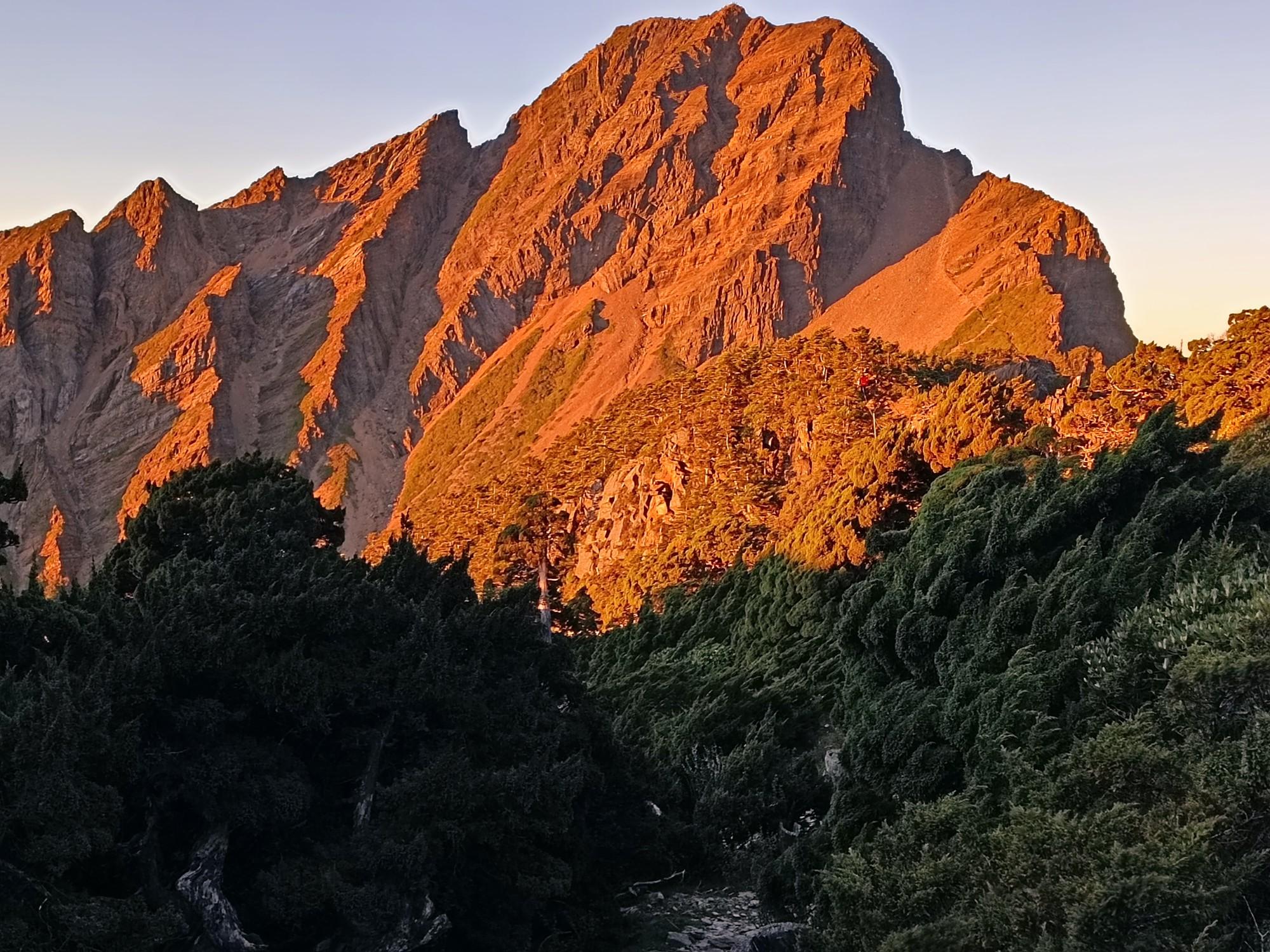 明治最高峰 薩摩焼 金襴手 玉山造 【山水風景図】コーヒー（紅茶