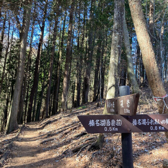なだらかな道は楽しい