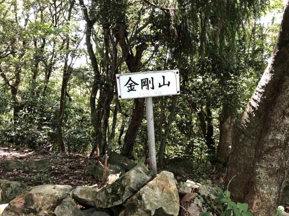 金剛山 福岡県 の最新登山情報 人気の登山ルート 写真 天気など Yamap ヤマップ