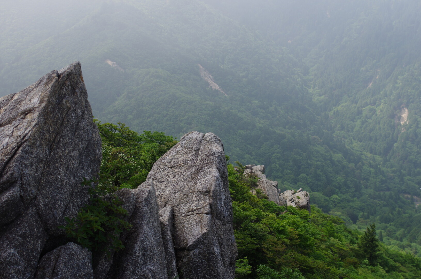 御在所岳・峠登山道（477県境トンネルから） / boonkriekさんの御在所岳（御在所山）・雨乞岳の活動データ YAMAP / ヤマップ