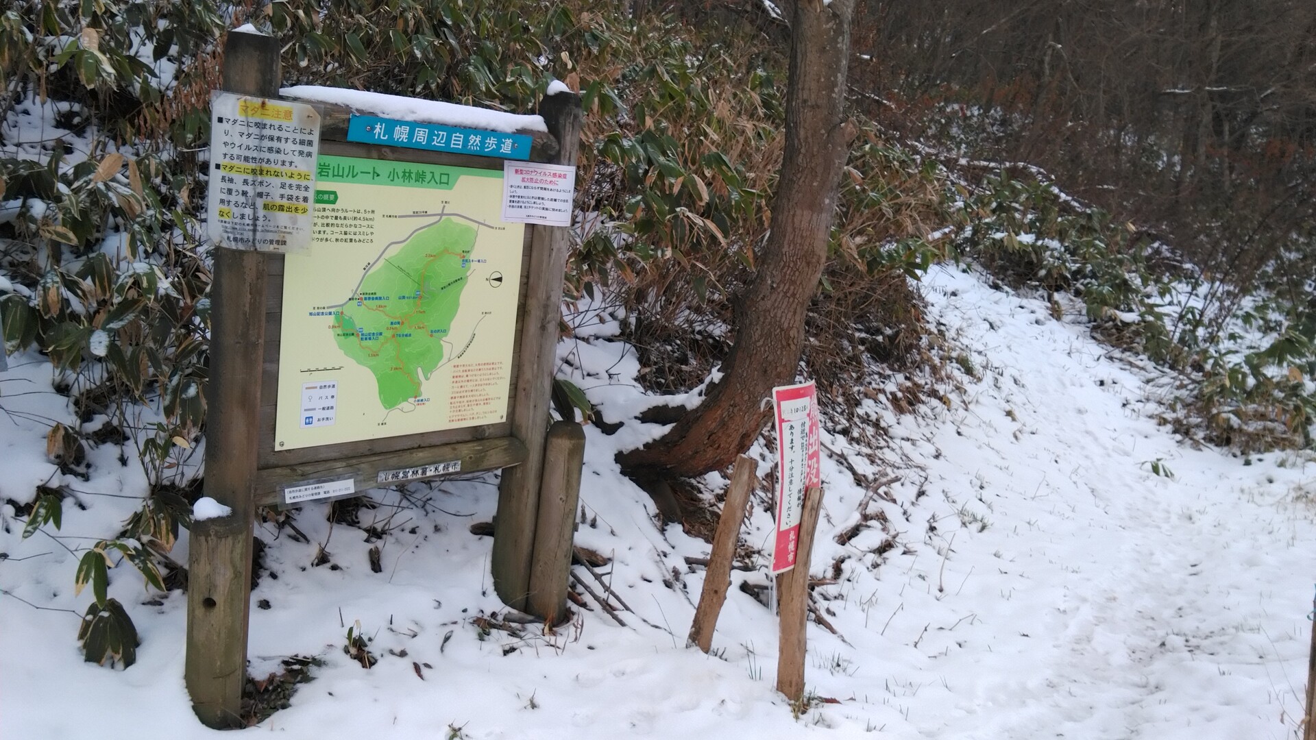 藻岩山 小林峠コース いがぼんさんの藻岩山の活動データ Yamap ヤマップ