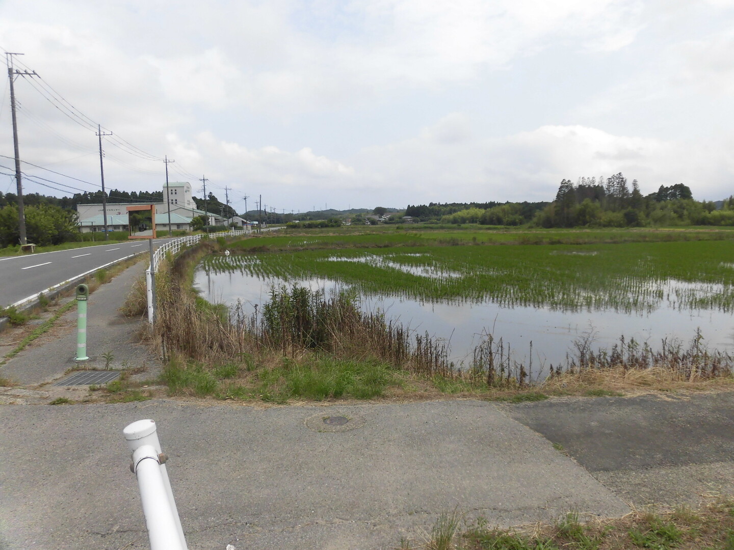 【坂東33箇所歩き巡拝】20190621／（茂原駅→）長南BSから清水観音⇒大原駅へ / いすみ市の写真28枚目 / ここが一番ひどかった！ YAMAP / ヤマップ