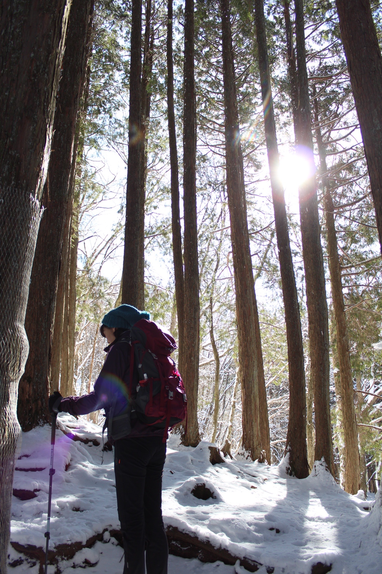 雪の妙法ケ岳 三峰神社 奥宮 01 19 A I さんの雲取山 鷹ノ巣山 七ツ石山の活動データ Yamap ヤマップ