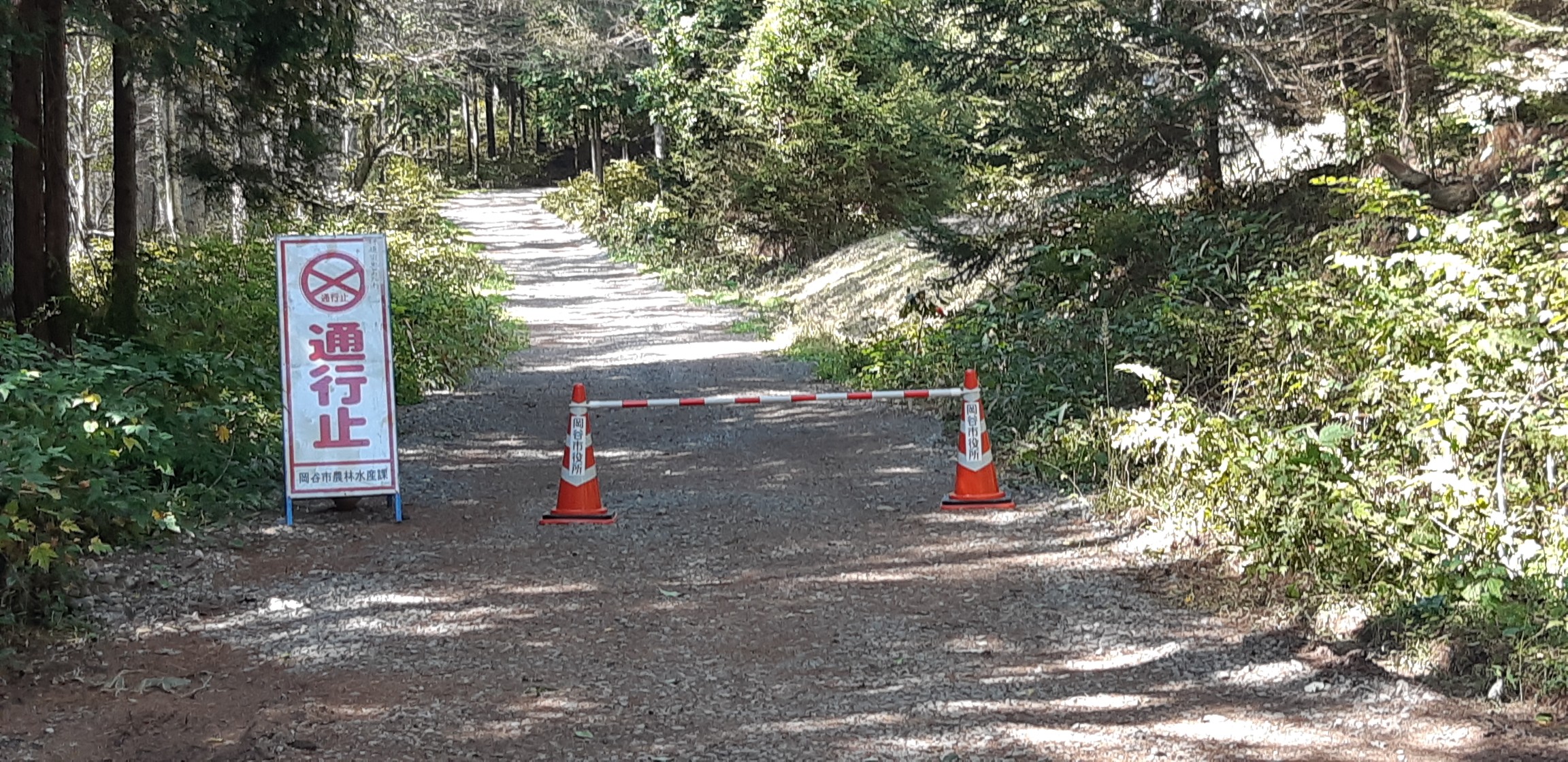 岡谷icから高ボッチ山を目指すも 東山の道不明瞭で撤退 Yasu1210mさんの鉢伏山 高ボッチ山 三峰山の活動データ Yamap ヤマップ