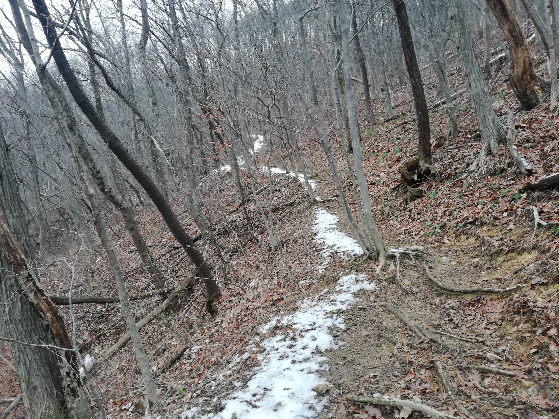 達居森 道が分かりやすい