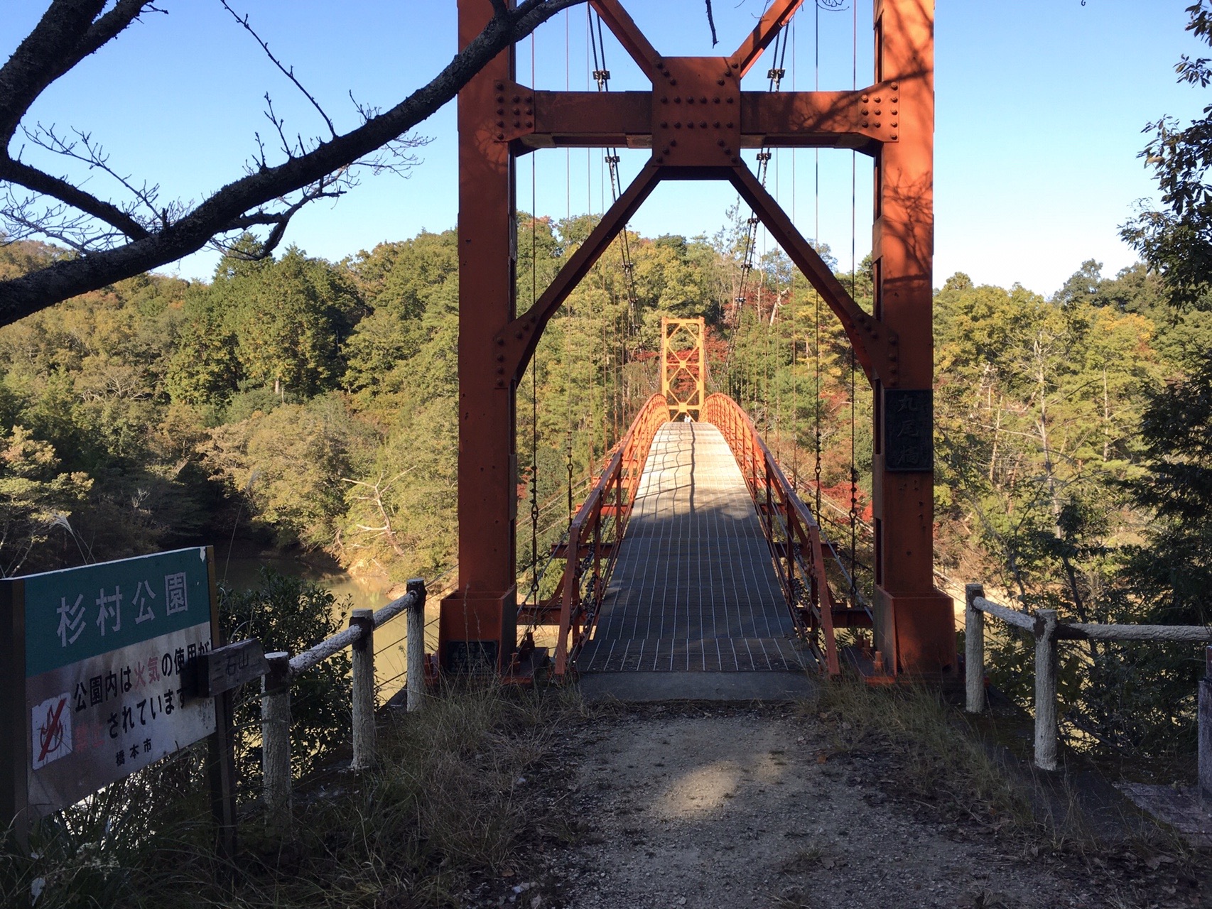 岩湧山のススキ 杉村公園の紅葉 たこやきさんの岩湧山 一徳防山 三石山の活動データ Yamap ヤマップ