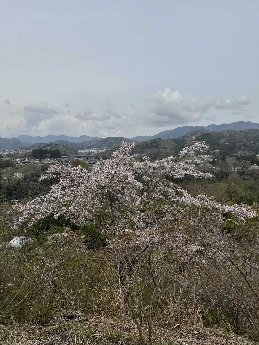 石楯山・一本松山・名倉金剛山・鶴島金剛山・高倉山・蚕影山 石楯山・一本松山・名倉金剛山・鶴島金剛山・高倉山・蚕影山