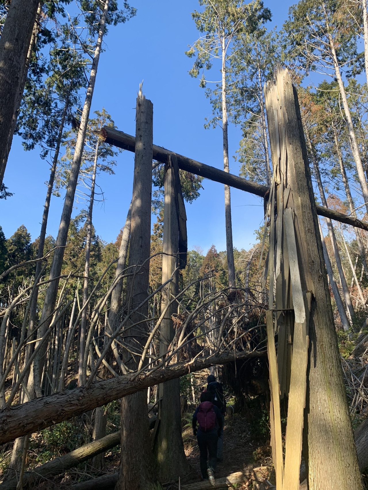 大文字山とベルギービールの夕べ ミキティ さんの大文字山 如意ヶ嶽 稲荷山の活動データ Yamap ヤマップ