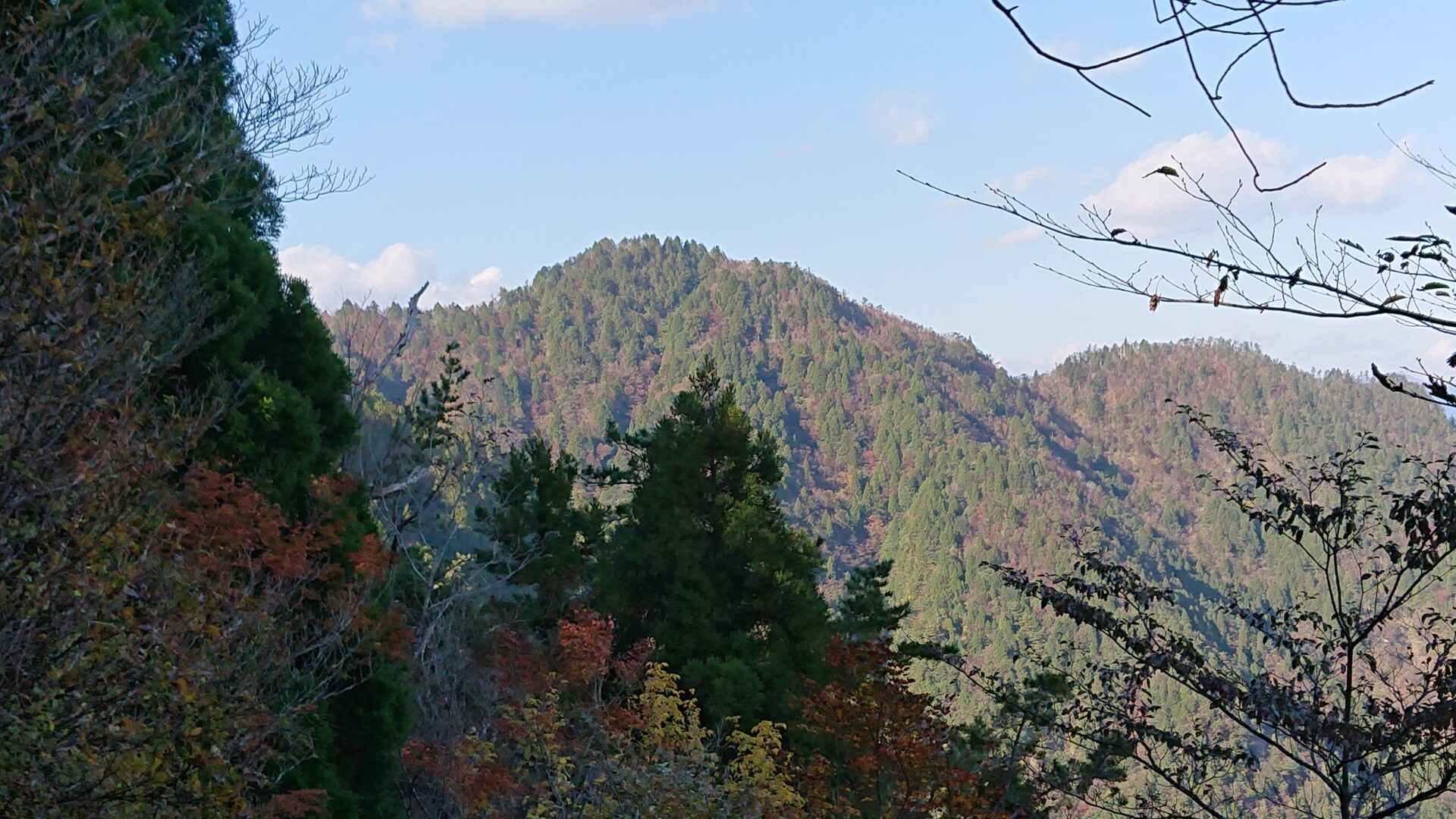 結果的に周回しました 高峰山(三重県)20191116 / FUCKMAさんの高峰山の活動データ YAMAP / ヤマップ