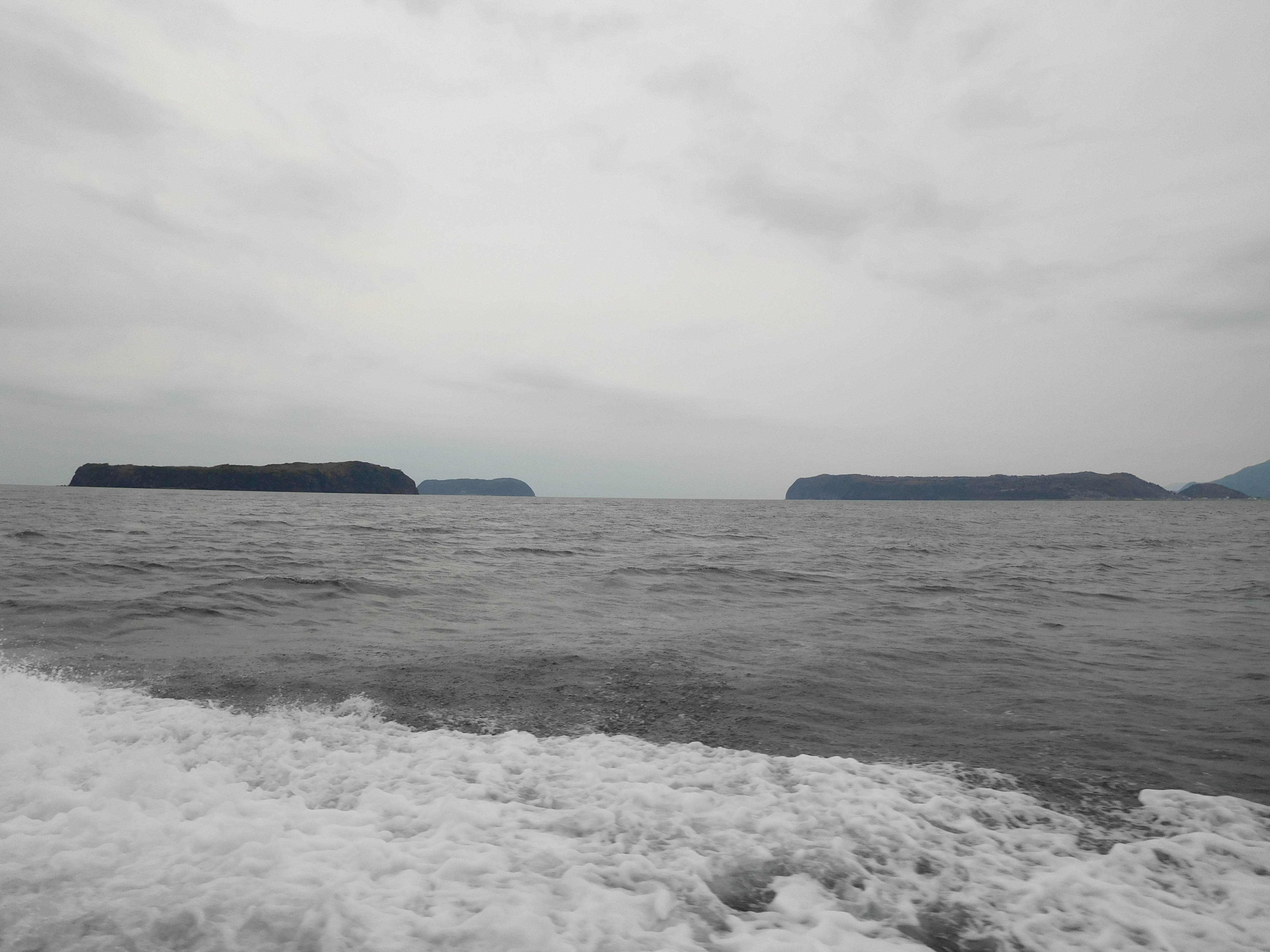 ｓｉｍａｐ かめさんは無人島を開拓できるか かめさんピースさんの萩往還その1 萩市 佐々並市 の活動日記 Yamap ヤマップ